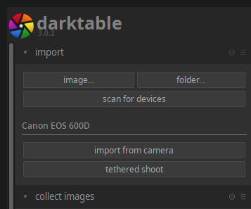 Darktable import options