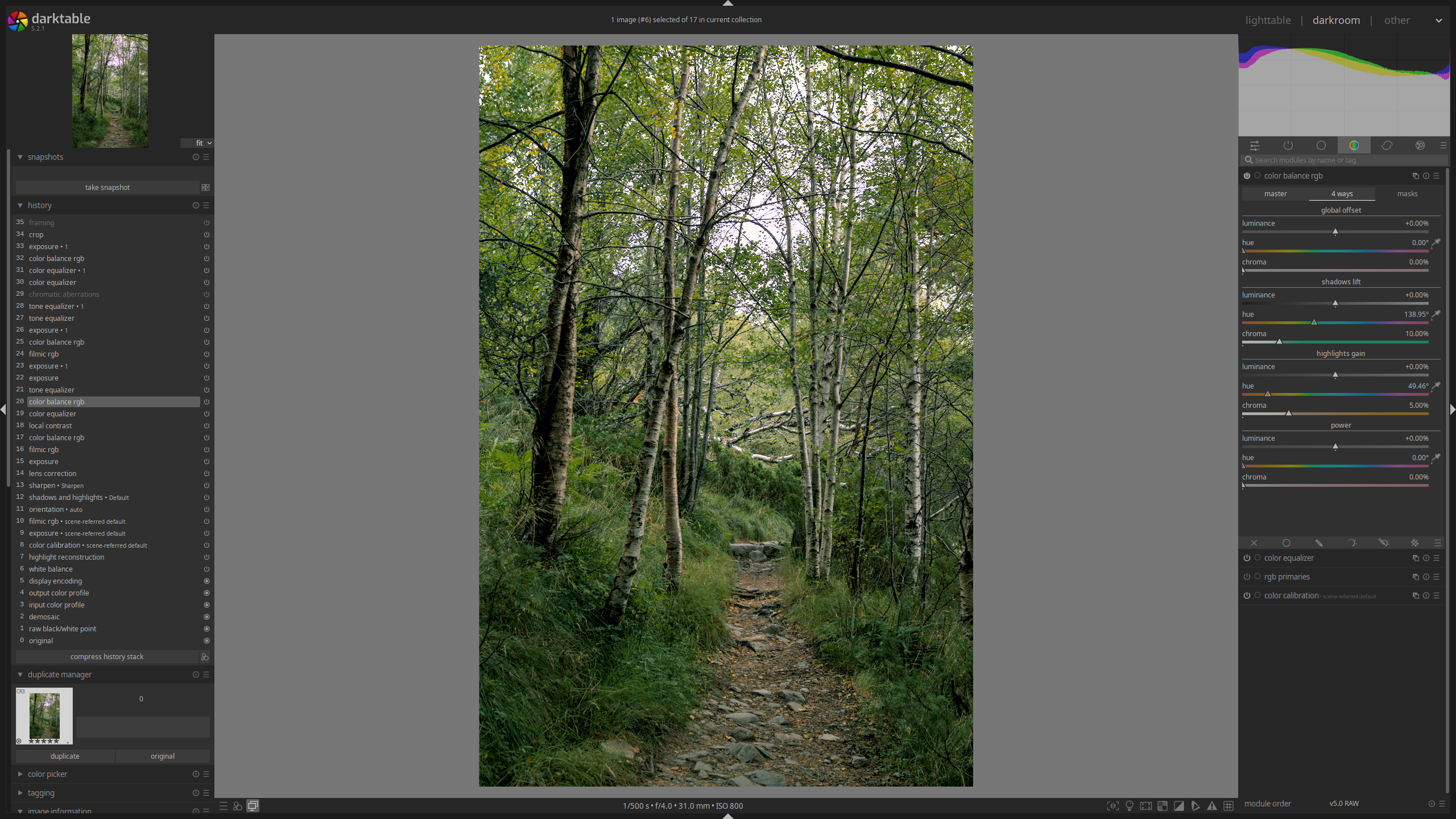 Darktable darkroom view after applying advanced color adjustments