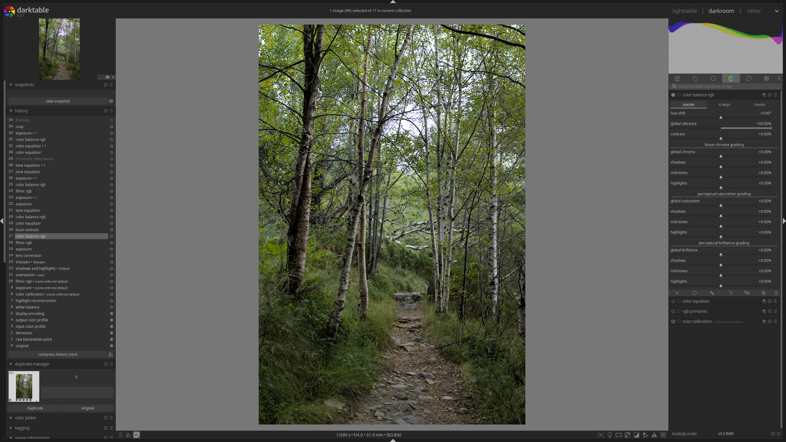 Darktable darkroom view after applying basic color adjustments