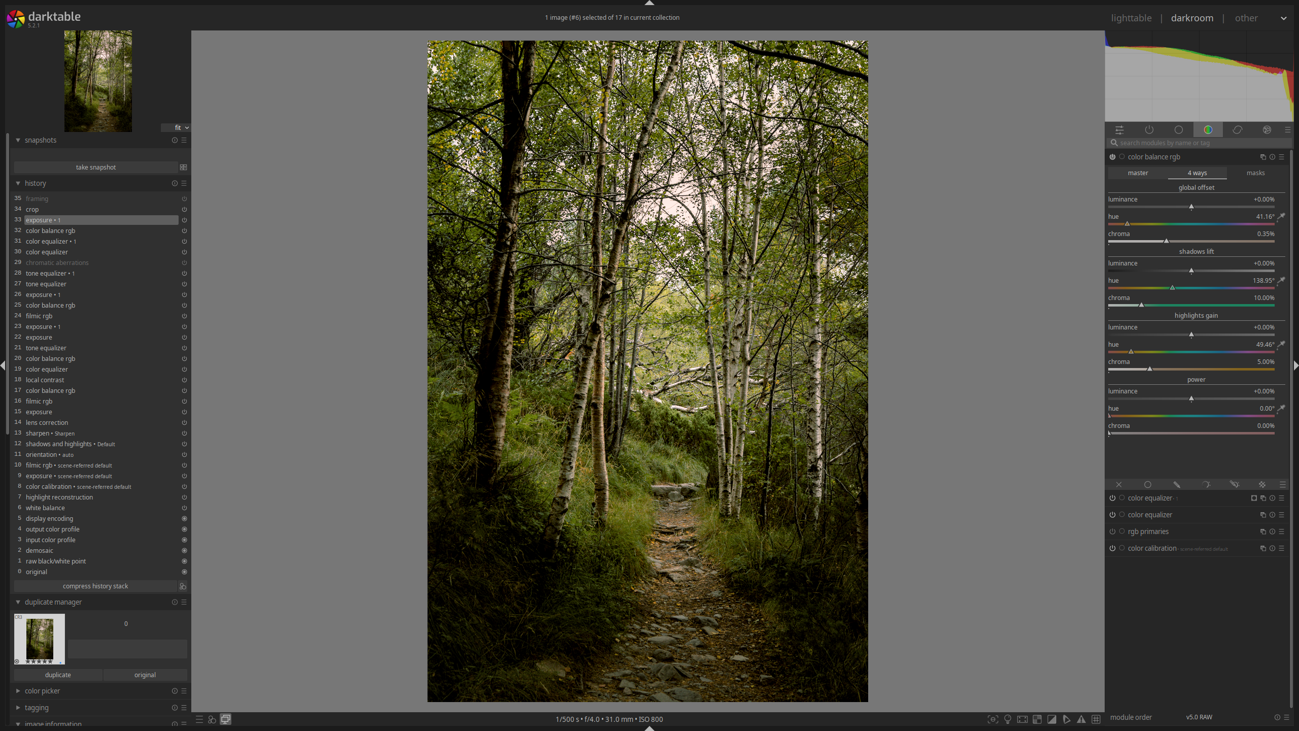 Darktable darkroom view after fine tuning color and exposure