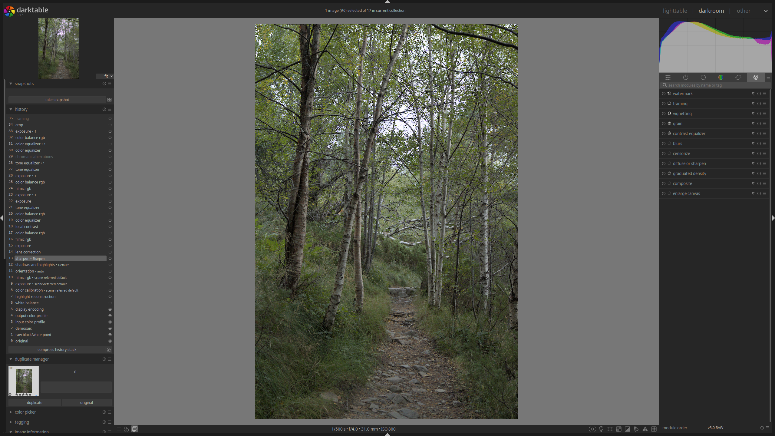Darktable editing view in the darkroom tab with the unprocessed image
