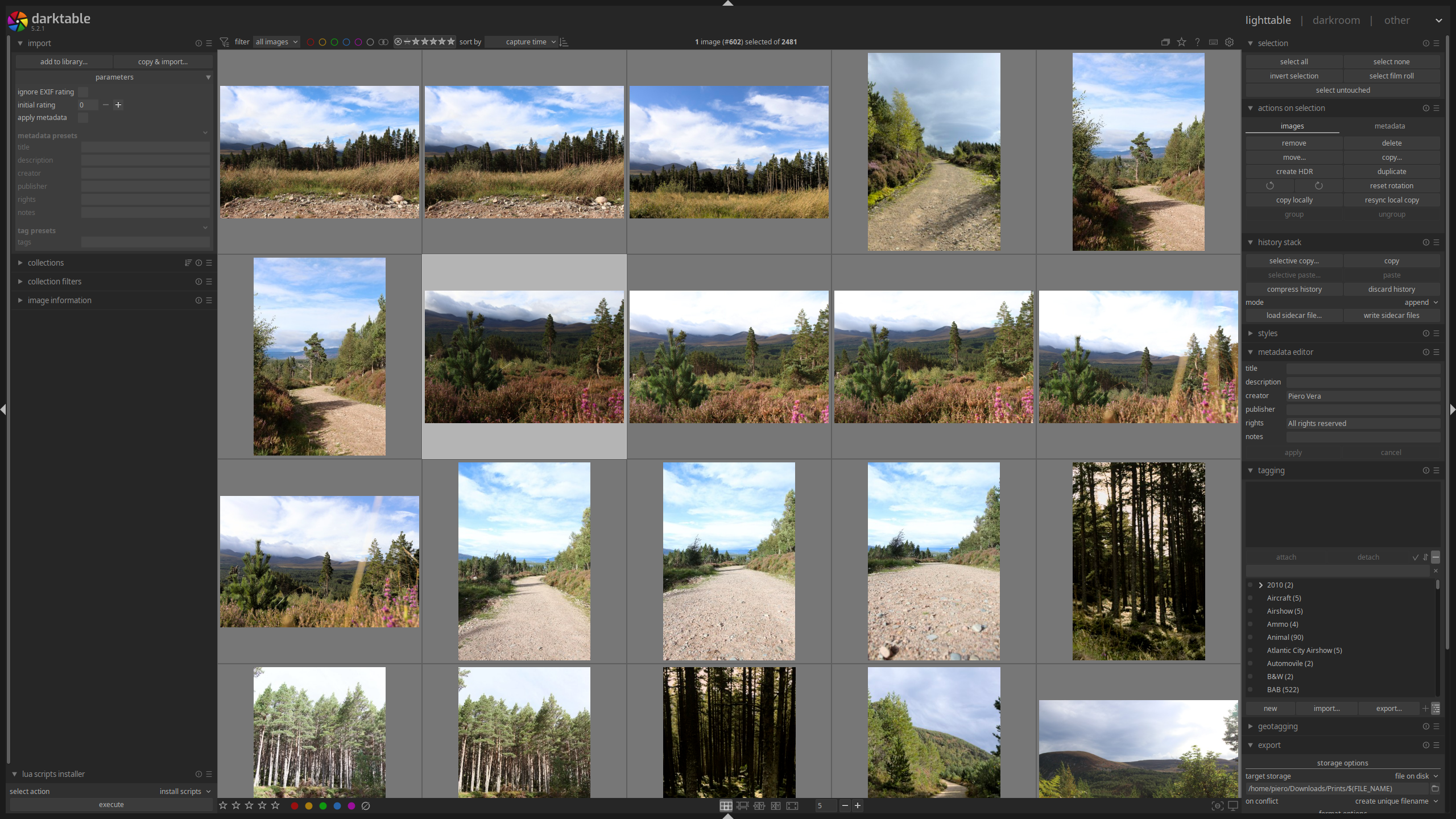 Darktable lighttable view