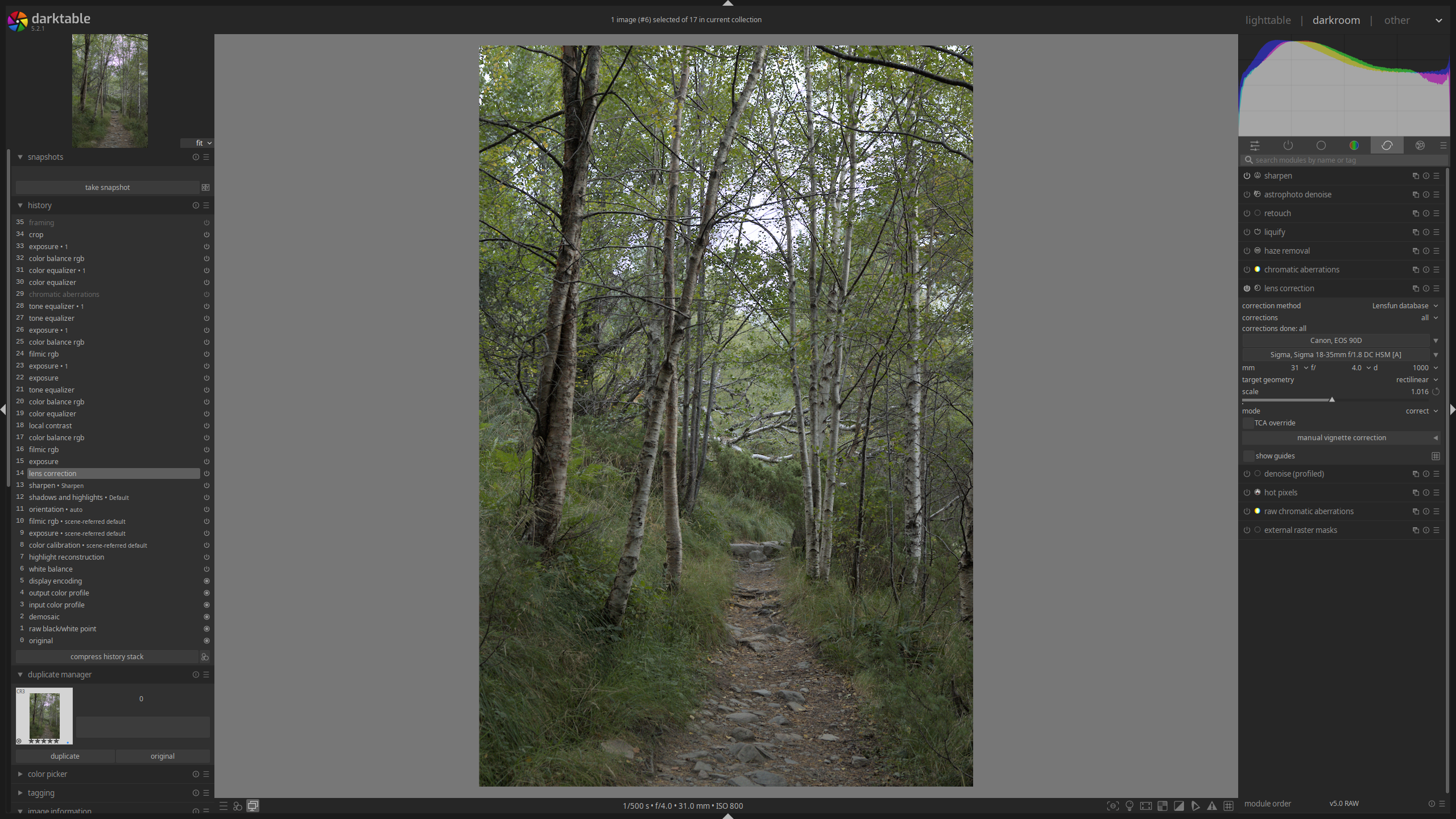 Darktable darkroom view after applying basic corrections